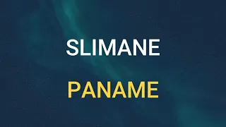 🎧 SLIMANE - PANAME (SLOWED & REVERB)