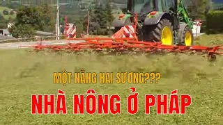 NGHỀ NÔNG Ở PHÁP NHÀN TÊNH | PHẦN 2 | THU HOẠCH CỎ VÀ BÁN SẢN PHẨM TỪ NÔNG TRẠI