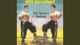 Rei do gado