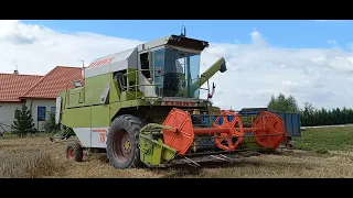 KOMBAJN CLAAS W AKCJI! Michałów 2021