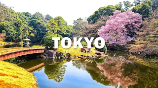 Tokyo's Hidden Gems: Explore the Best Places to Visit in Japan!