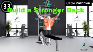 Ultimate Back Workout