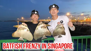 BATFISH FRENZY at Marina South Pier | Fishing in Singapore