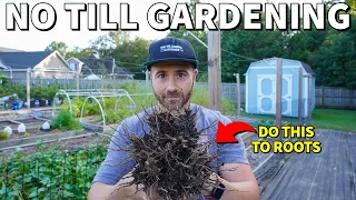 STOP Removing Old Roots From Your Garden! Do This Instead