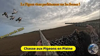 Chasse aux pigeons avec de très belles actions !