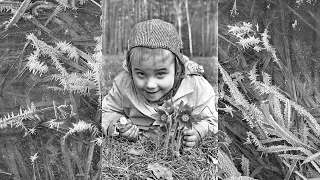 1972 3 март Дневник наблюдений за природой