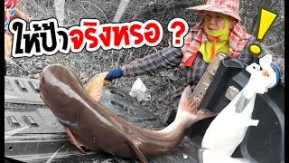 ป้าเอาปลาไหม เดี๋ยวหนูตกให้ตัวนึง | เด็กตกปลา