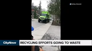 Garbage collector caught mixing recycling and trash in Newmarket