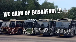 Bussafari Safaripark Beekse Bergen