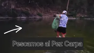 No creerás el lugar en donde pescamos al Pez Carpa