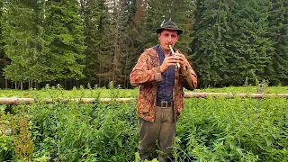 Як грають на сопілці на полонині: флояра наживо в Карпатських горах