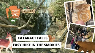 Cataract Falls: Easy Waterfall Hike In The Great Smoky Mountain National Park
