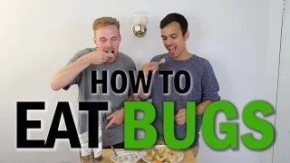 How To Eat Bugs