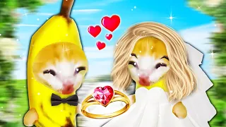 Banana Cat's Unexpected Wedding 🐱 Baby Banana Cat Compilation | Happy Cat Crying MEME 😿