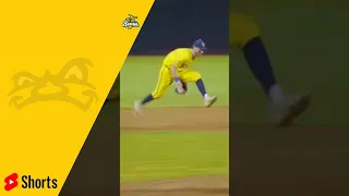 Under the Legs TRICK Ground Ball for an Out | The Savannah Bananas