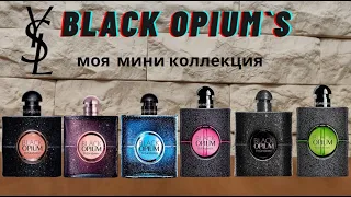 Black Opiums - какие они, мои 5 ароматов?