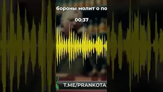 Мольбы о пощаде мамашек от работников минобороны #війна #вольнов #чернобаев