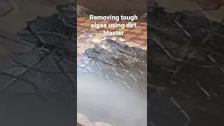 Removing tough algae using dirt blaster