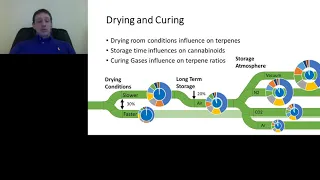 Controlling Terpenes and Cannabinoids in Flower and Extract