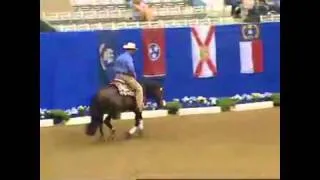 NRBC 2011 Classic Finals - Todd Sommers on Whiz It A Chic - 229,5
