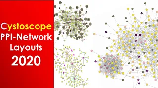 Cytoscape PPI Network layouts |  High quality network Figures for Publication | Bioinformatics