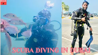 SCUBA DIVING IN DUBAI...2021