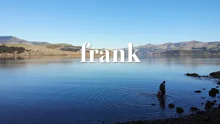 Foraging On Banks Peninsula