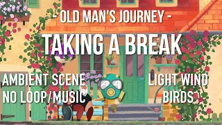 Taking a Break (Old Man's Journey) | Light wind, birds | No Music | 1440p* 60FPS