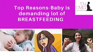 Baby is demanding for lot of BREASTFEEDING whats reason?Baccha achanak Jyada bar dudh kyo pita hain?
