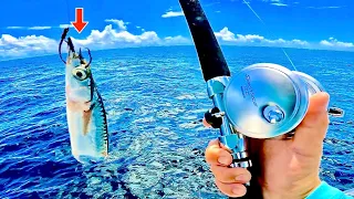 Fishing CUT BAIT! in the GULF of MEXICO from my *24ft* BAY BOAT