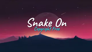 Snake on the Beach - (Audio Library) - No 6