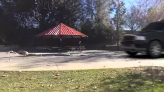 Skateboarder Almost Hit By Car