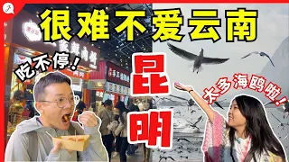 【中国旅游EP18】  第一次到中国云南昆明！ 别再把这里当中转站 | 太多好吃！这里的海鸥也太多了吧！