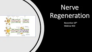 Exosomes Webinar 11: Nerve Regeneration