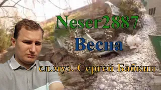 Neser2887   Весна ( кавер С Бабкин )