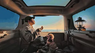 캠핑 브이로그 . 나의 강아지와 함께 떠난 동해바다 차박 여행 . 디스커버리4 차박 . 바다 파도소리 ASMR