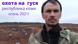 Охота на гуся.Республика Коми.2021г.