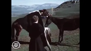 Мчатся Кабардинские Кони 🐎 მიჰქრიან ყაბარდოული ცხენები