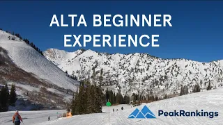 Is Alta Good for Beginners?