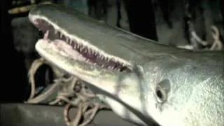 River Monster by Animal Planet