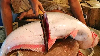Nice Cutting Style | Big Pangas Fish Cutting By Expert Fish Cutter | Bangladesh Fish Market