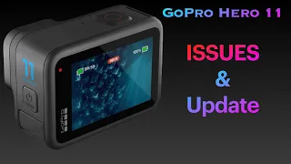 GoPro Hero 11 Issues and Update with footage comparison vs Insta360 x3, DJI Action 2 & Sony rx0ii