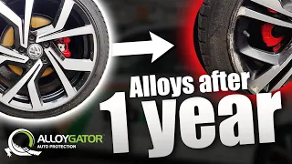 Do Alloy Protectors Really Work?