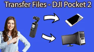 How to transfer pictures and videos from the DJI pocket 2 - PC and Phone