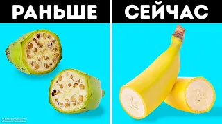 Вы бы не узнали эти 16 продуктов питания в прошлом