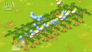 First Coconut Harvest | Hay Day Level 186 🥥
