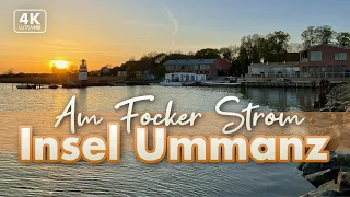 Am Focker Strom - Ummanz auf Rügen 2022 (4K Walk)