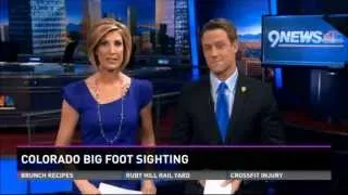 Woman Spots Bigfoot In Colorado Very Credible Incident - 1-20-14