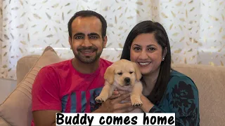 Bringing Home our 7 Weeks Old Labrador Puppy | First Day with Buddy (Hindi with English Subtitles)