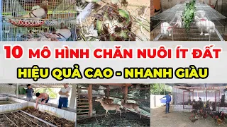 10 Mô Hình Chăn Nuôi Ít Đất Hiệu Quả Kinh Tế Cao | Tài chính kinh doanh